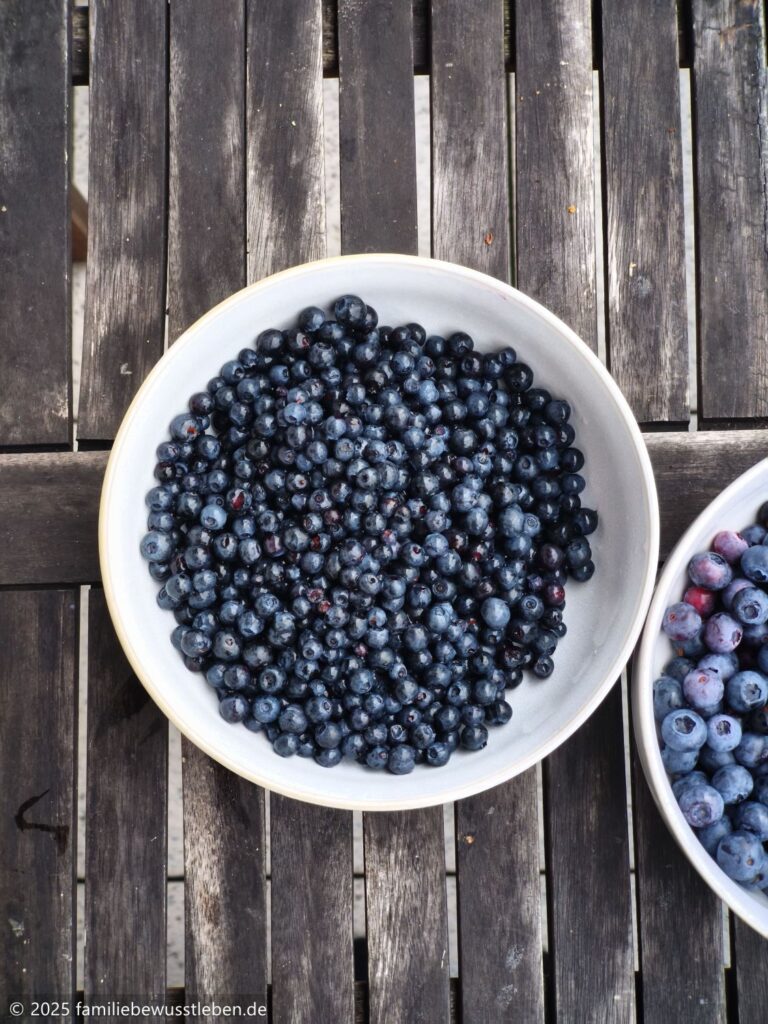 Draufsicht auf helle Schale mit wilden Heidelbeeren aus dem Wald