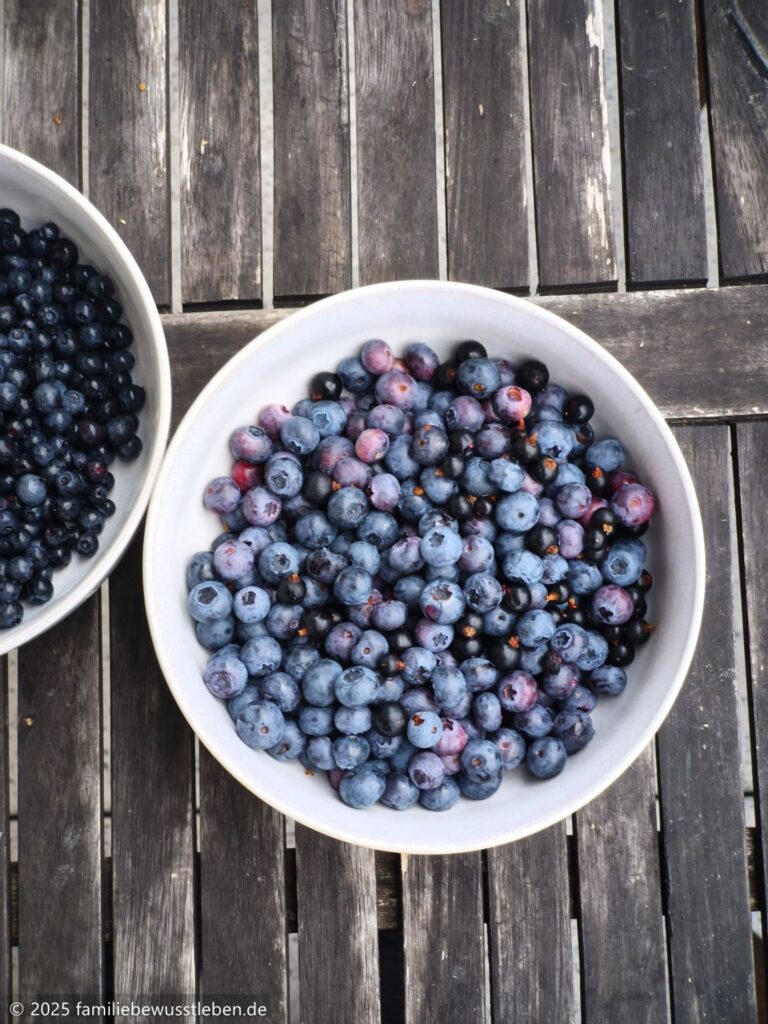 Draufsicht auf eine Schale mit Blaubeeren.