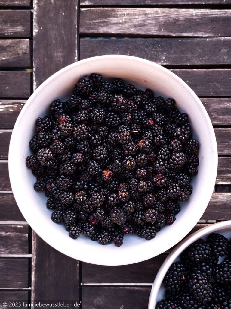 Draufsicht auf eine Schale mit frischen Brombeeren.