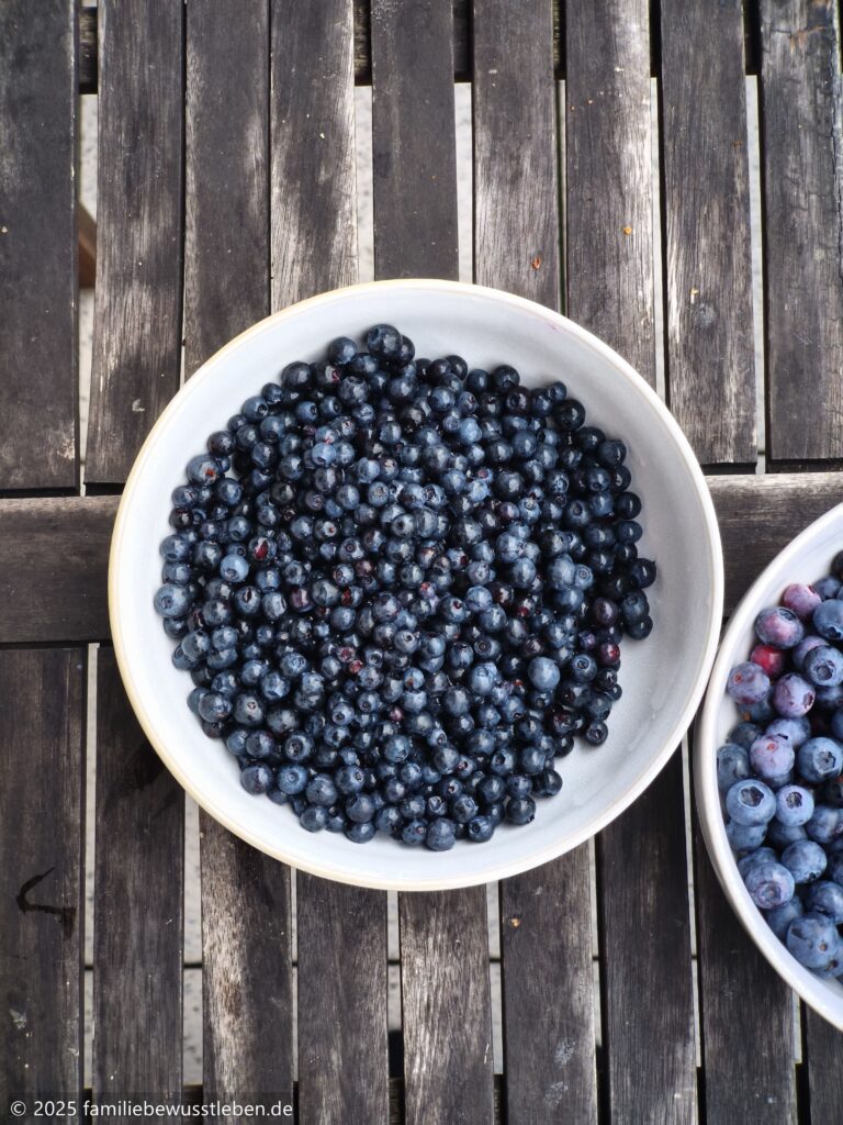Wilde Heidelbeeren aus dem Wald