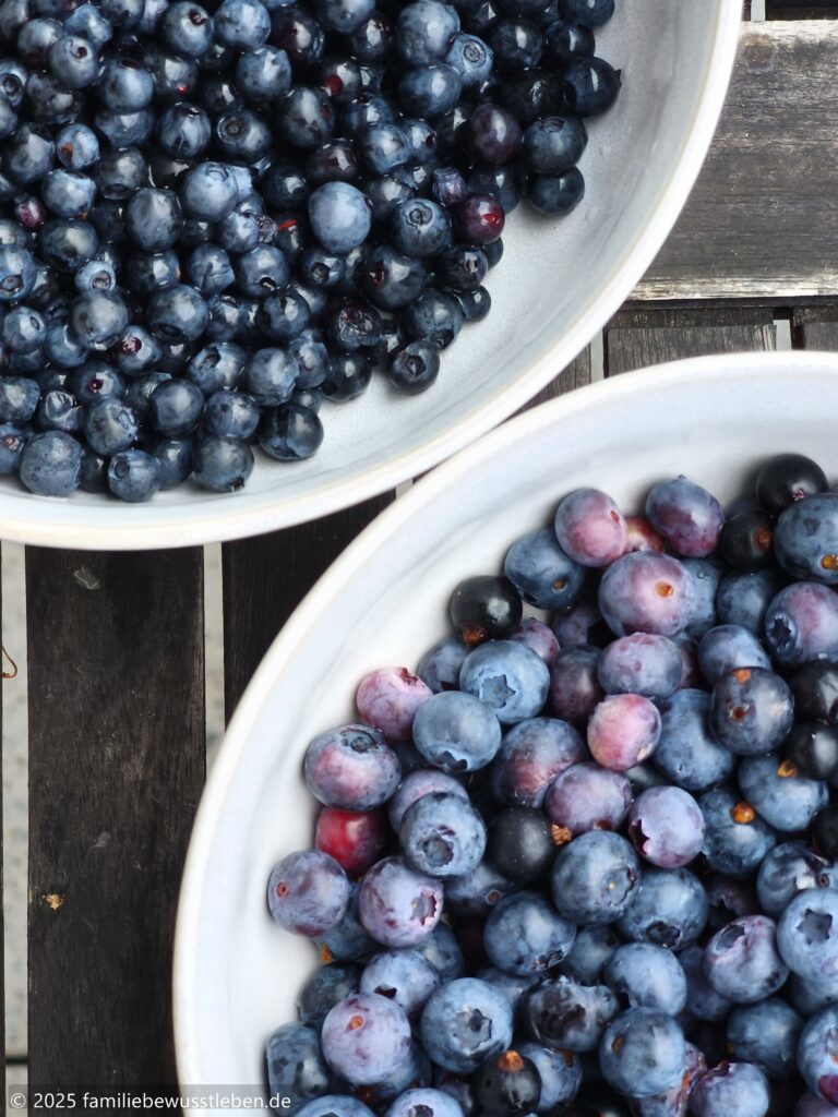 Waldheidelbeeren und Kulturheidelbeeren im Vergleich